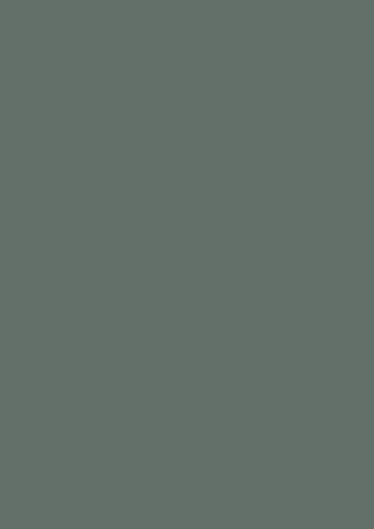 Farrow & Ball Douter 318