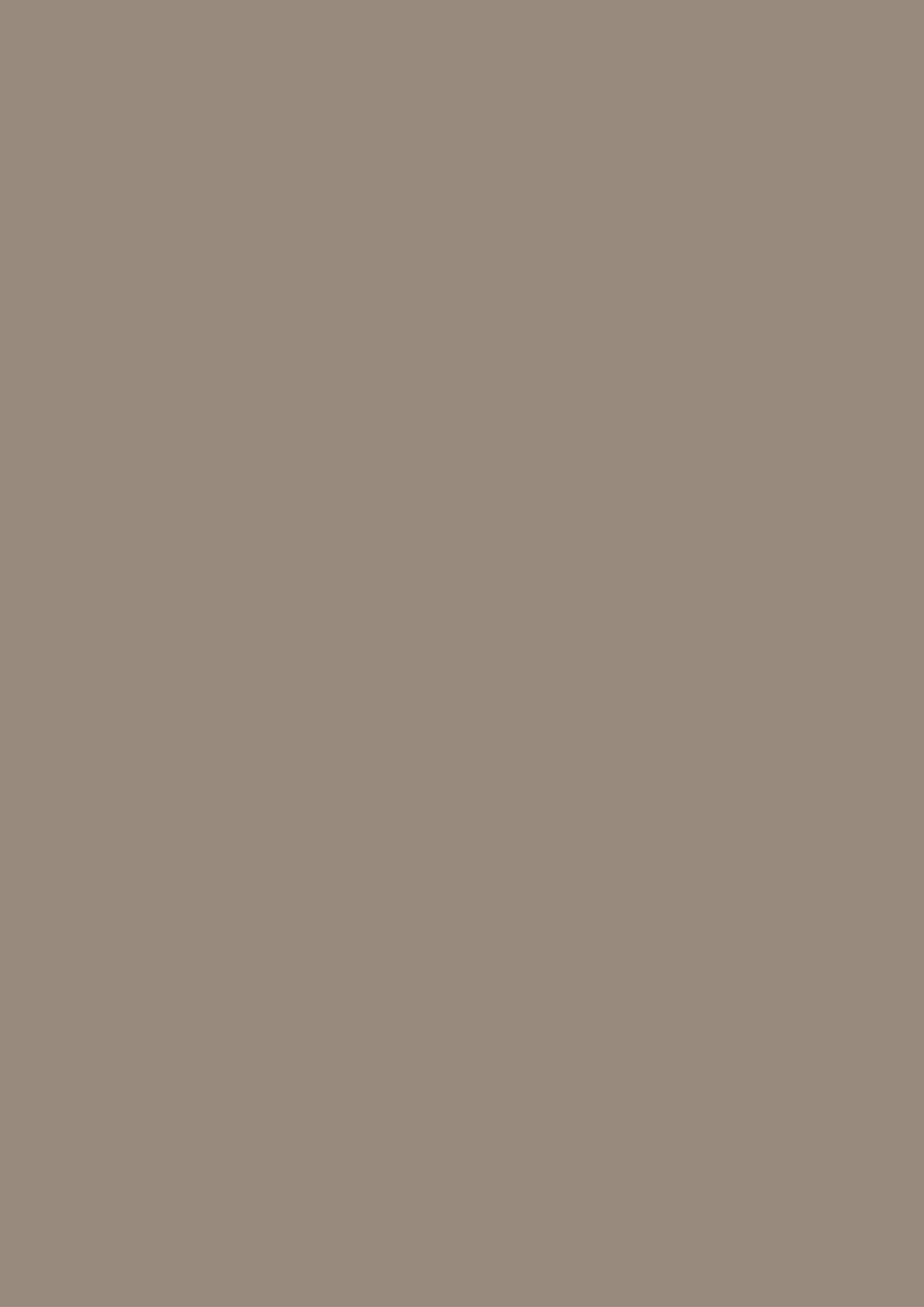 Farrow & Ball Mouse's Back 40