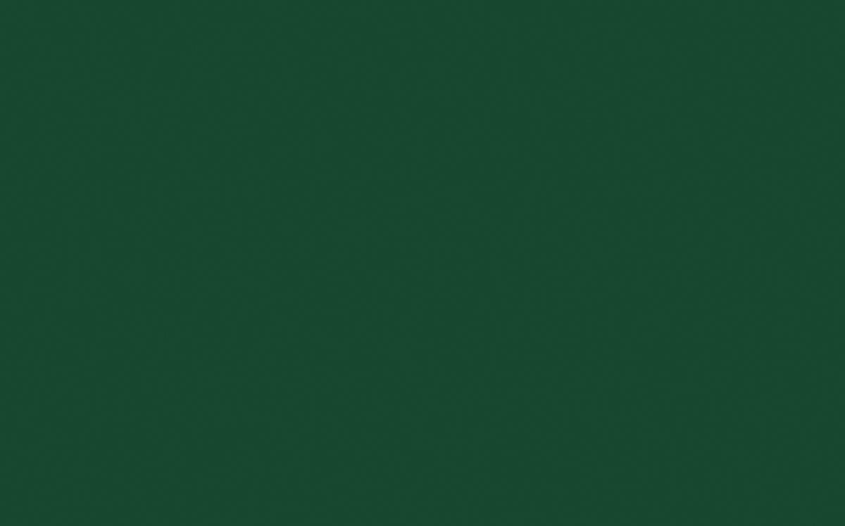 Little Greene Puck 298
