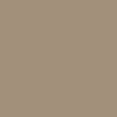 Hammerite Metal Paint Direct To Rust Smooth RAL1019 750ml