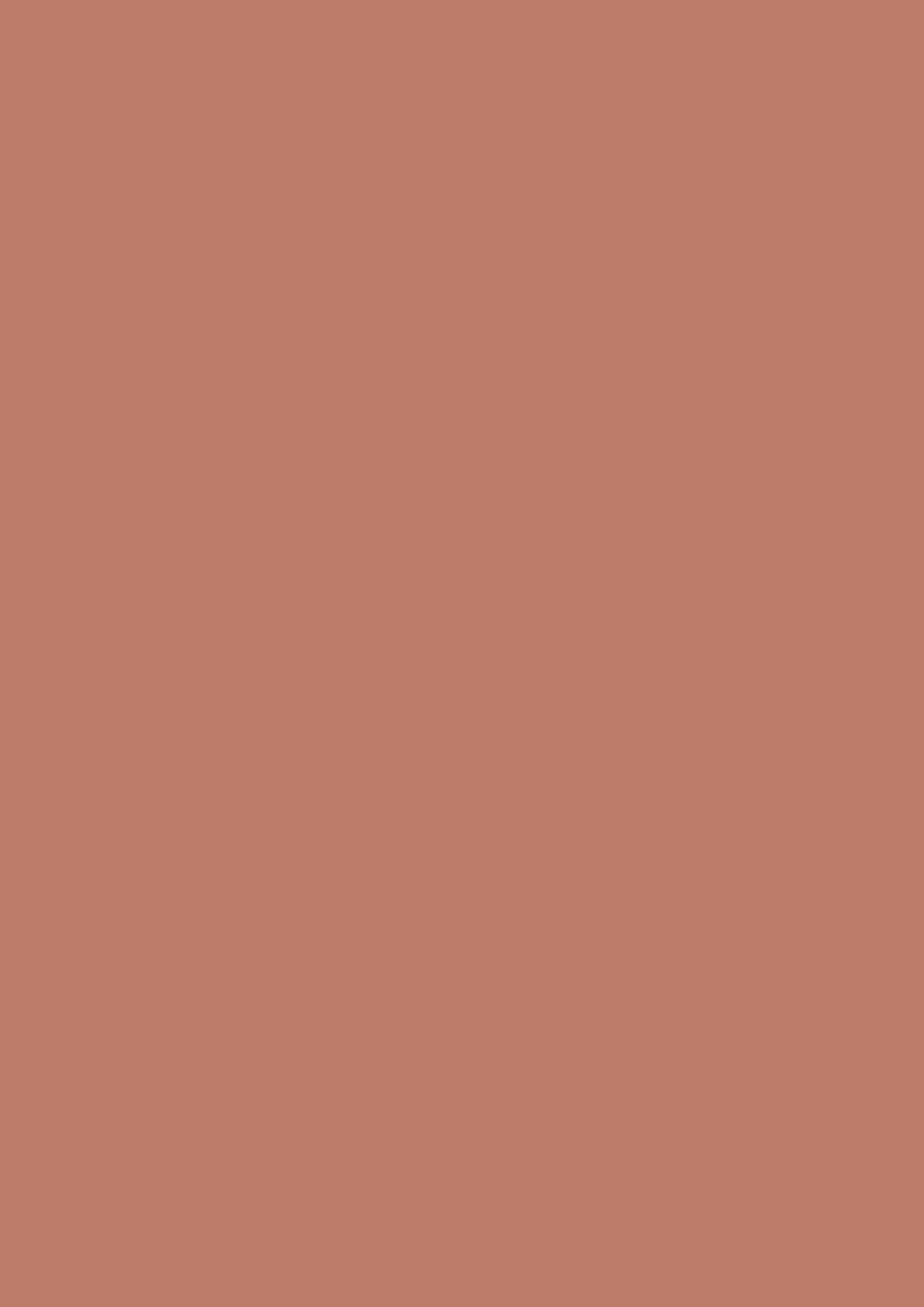 Farrow & Ball Red Earth 64