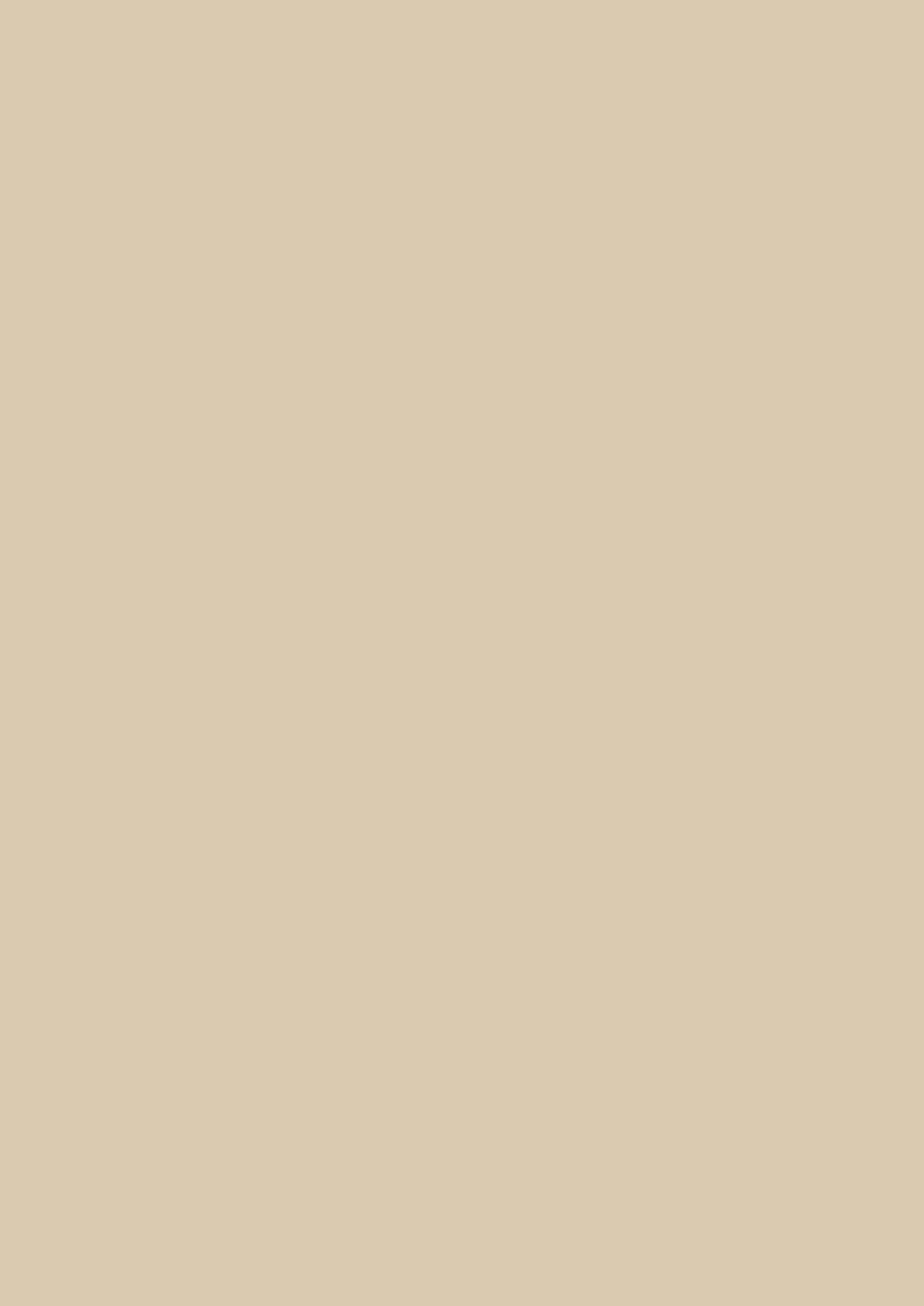 Farrow & Ball Stony Ground 211