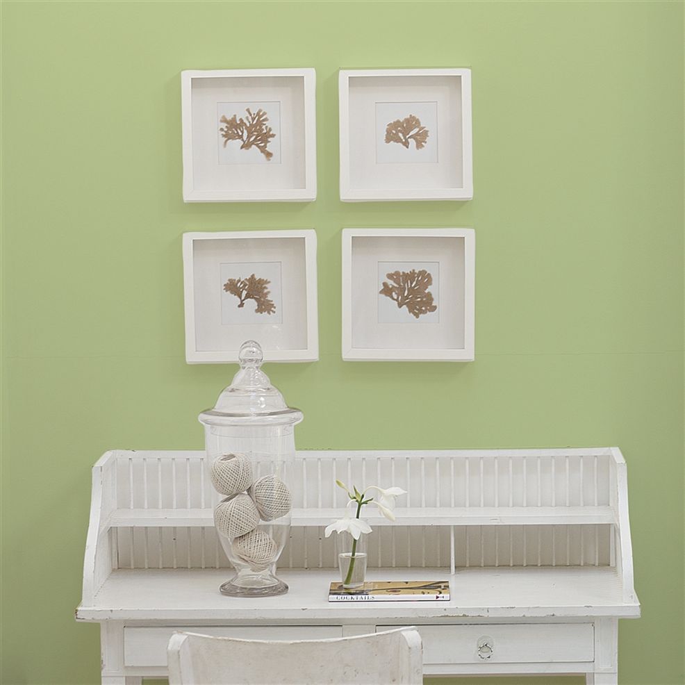 Designers Guild Cardamon Pod No.103