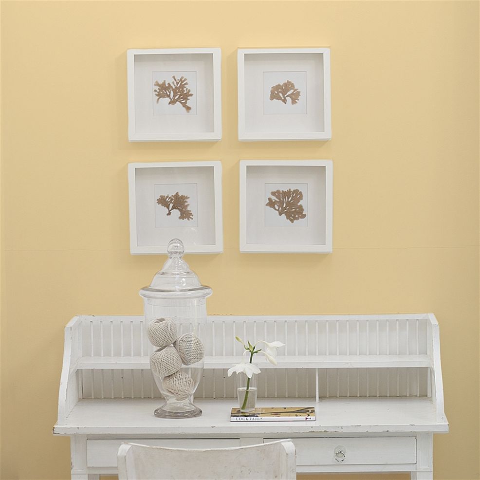 Designers Guild Clotted Cream No.113