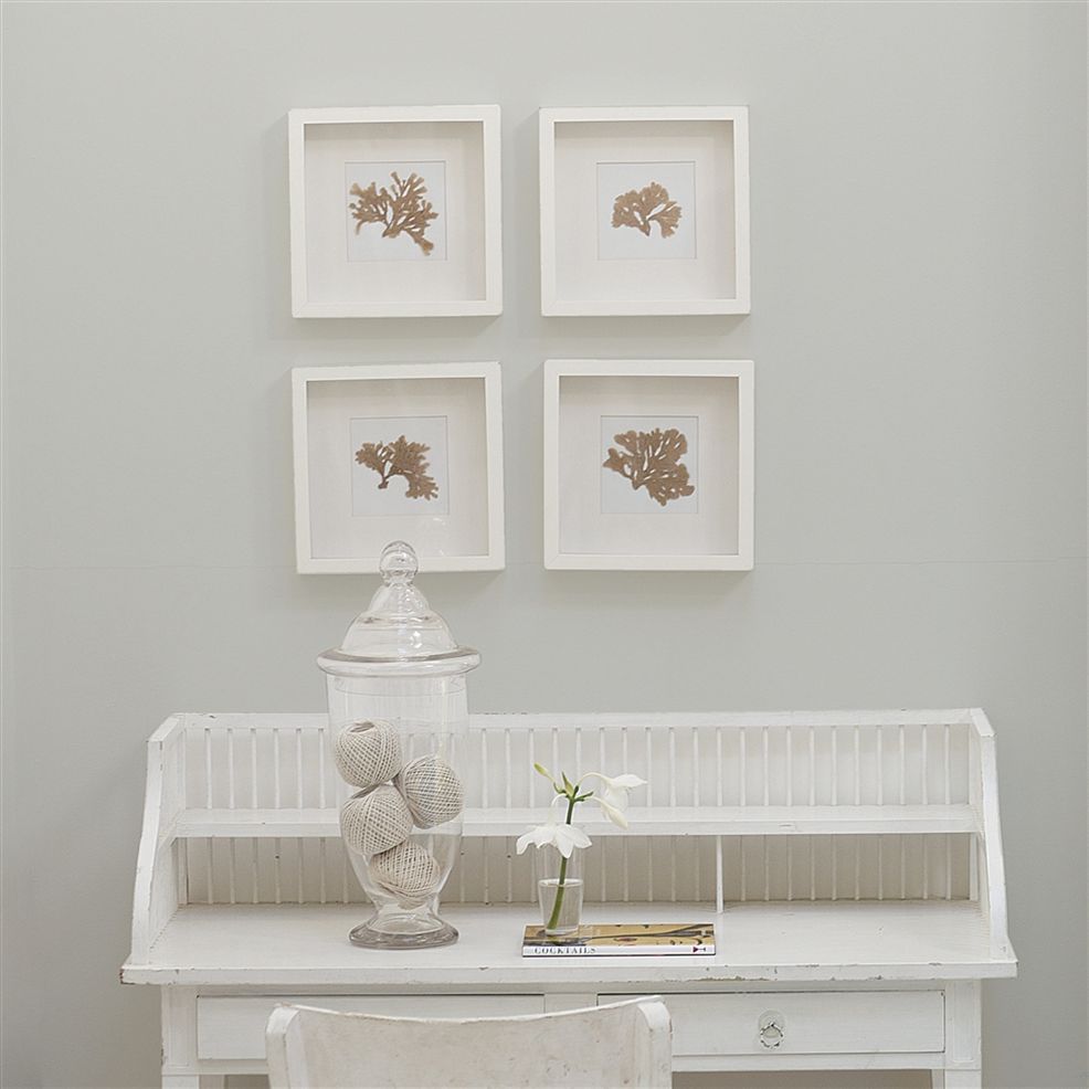 Designers Guild London Dove No.28
