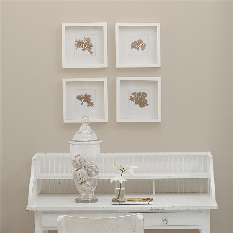 Designers Guild Cantucci Biscuit No.19