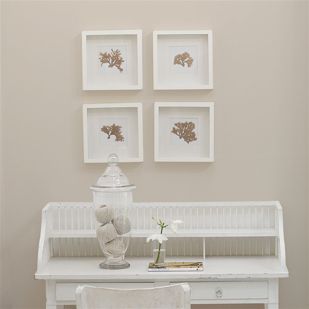 Designers Guild Pale Ash No.12