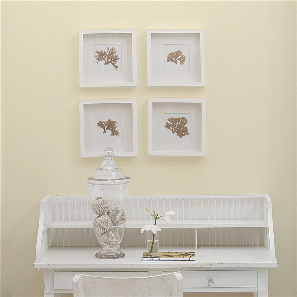 Designers Guild Pannacotta No.116