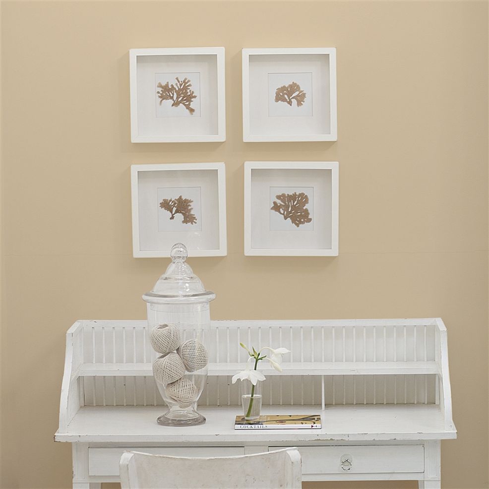 Designers Guild Travertine No.9