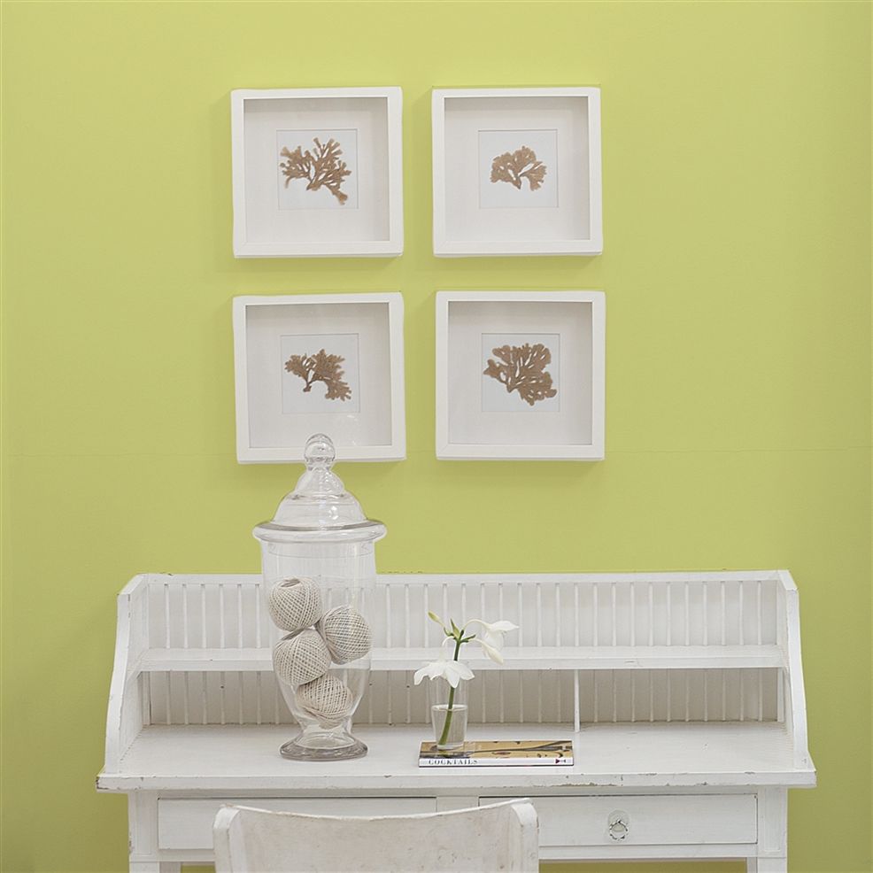 Designers Guild Alchemilla No.112