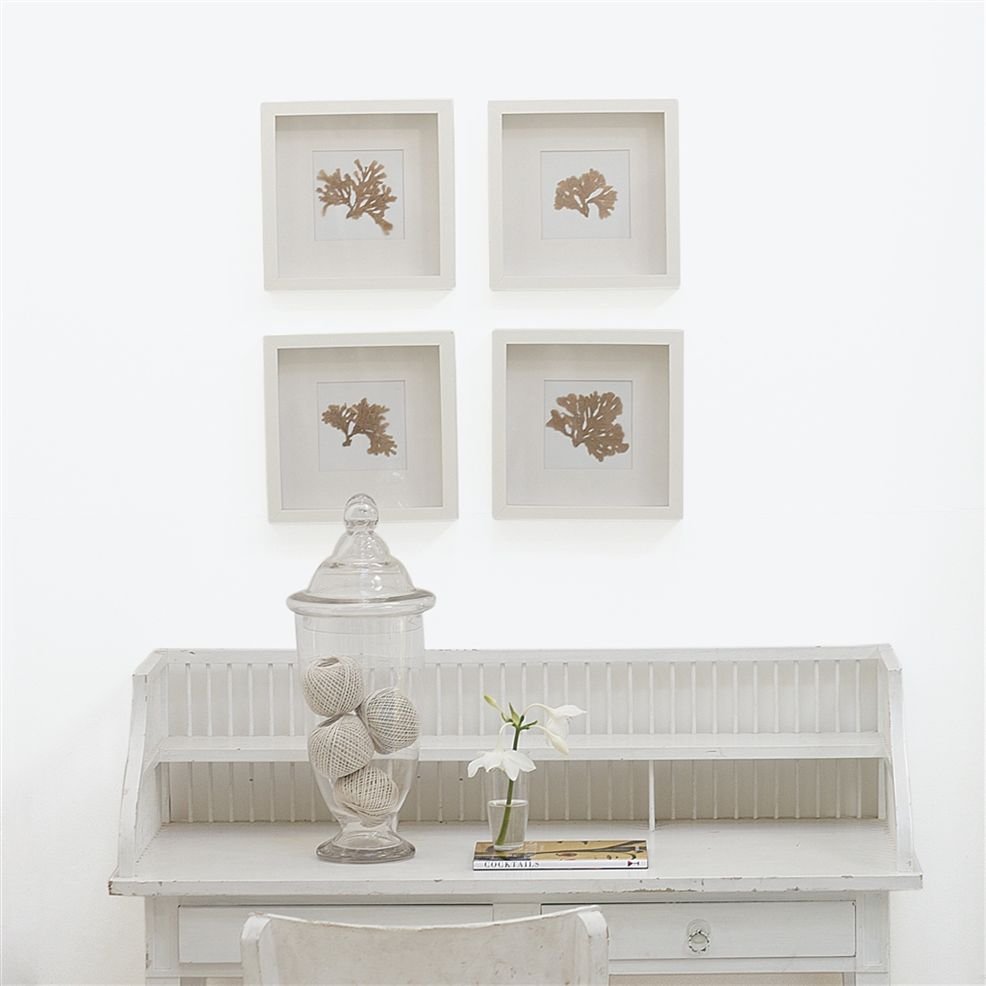Designers Guild Whitewash No.2