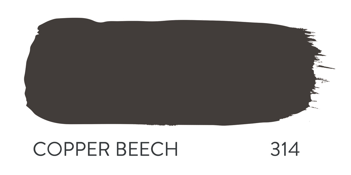 Paint & Paper Library Copper Beech 314