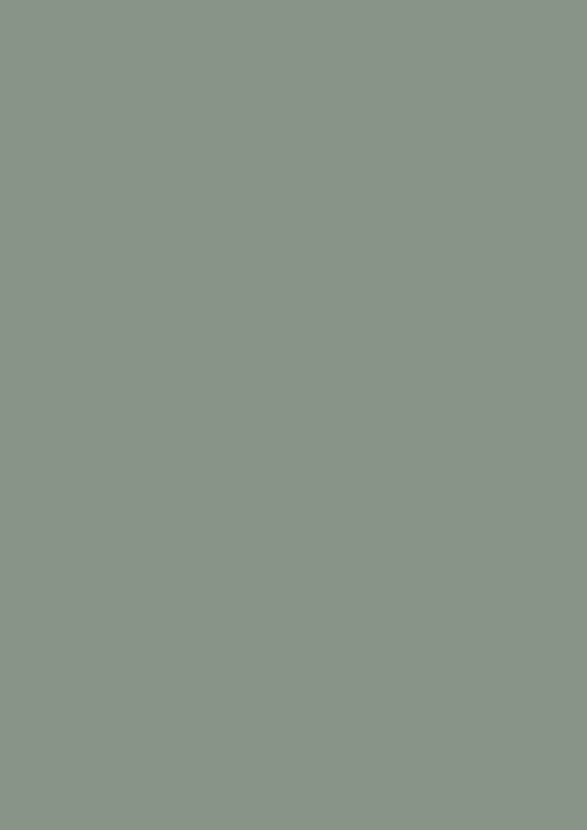 Farrow & Ball Card Room Green 79