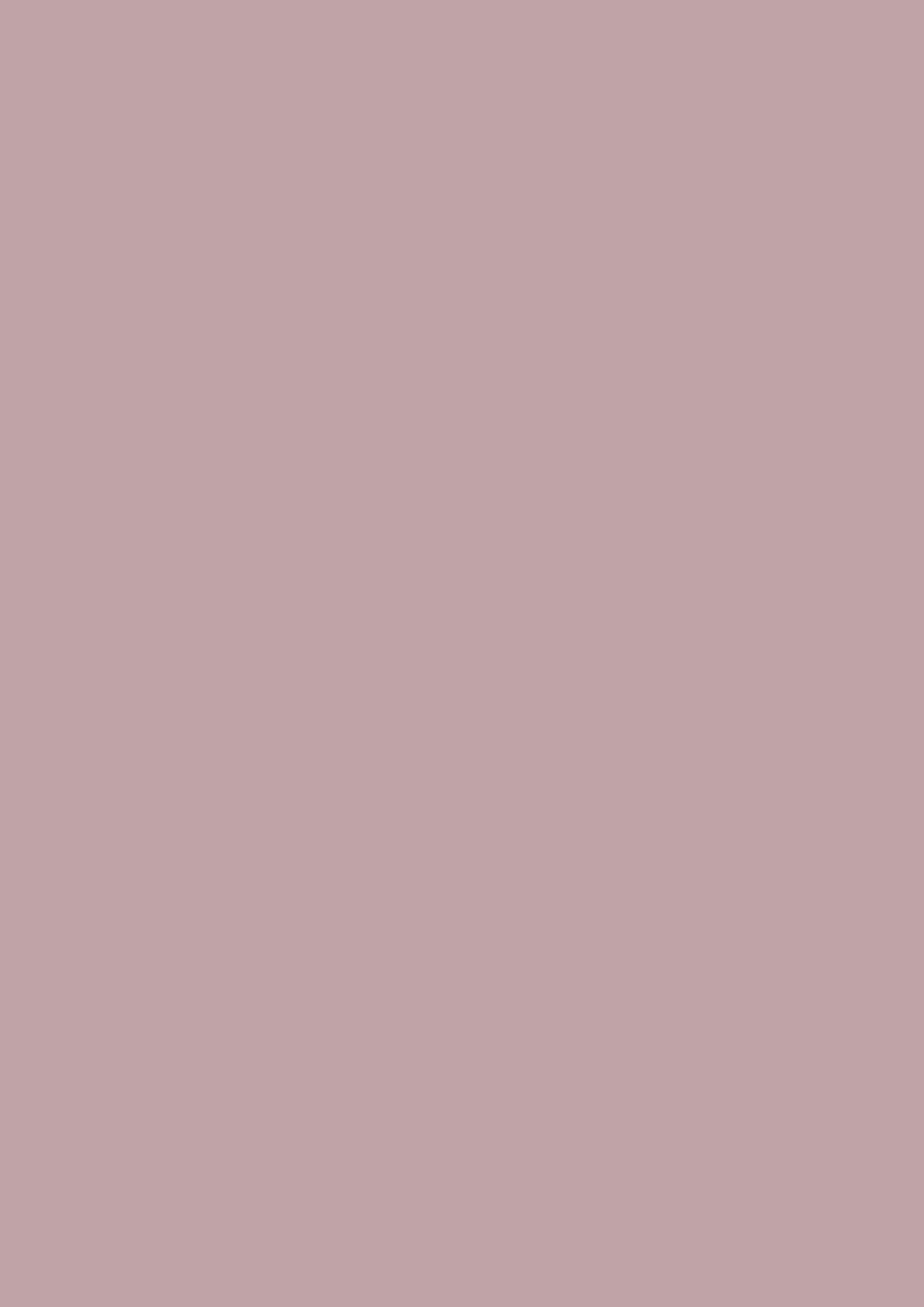 Farrow & Ball Cinder Rose 246