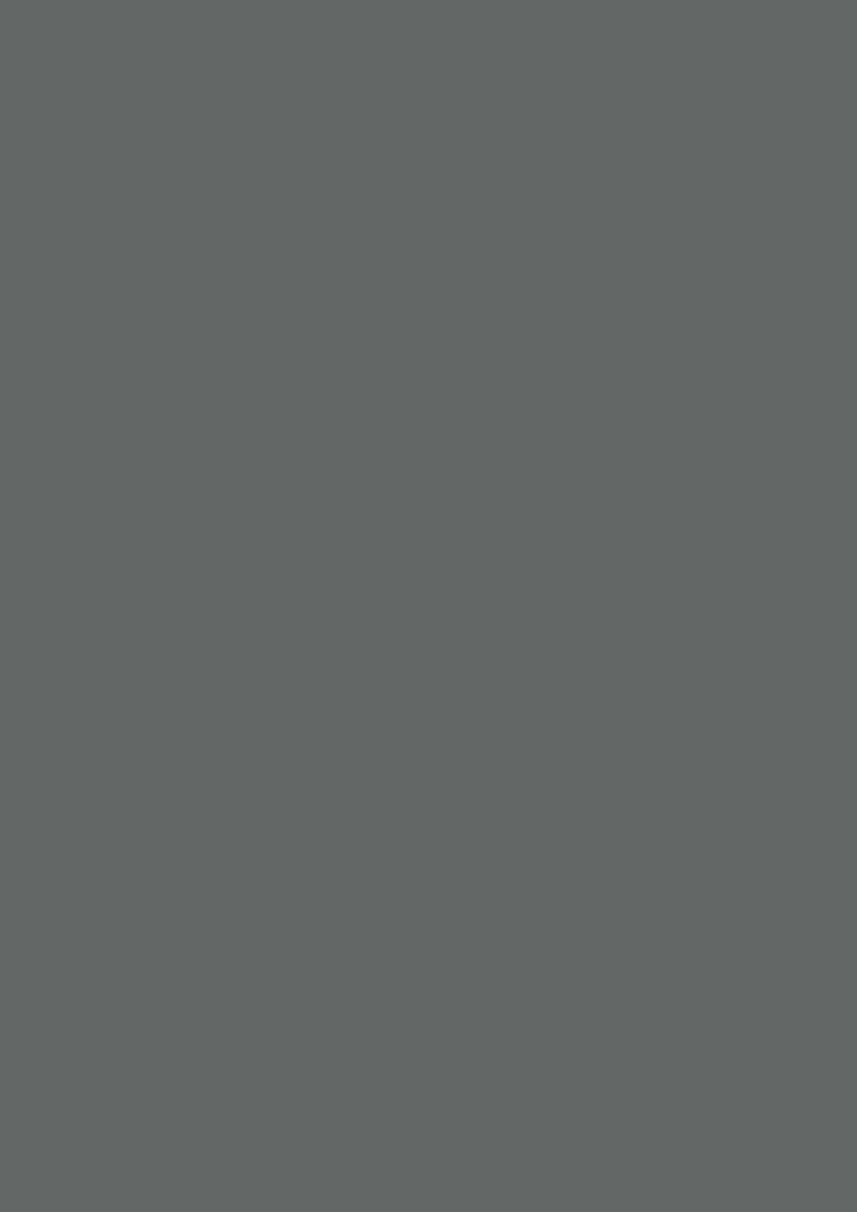 Farrow & Ball Down Pipe 26