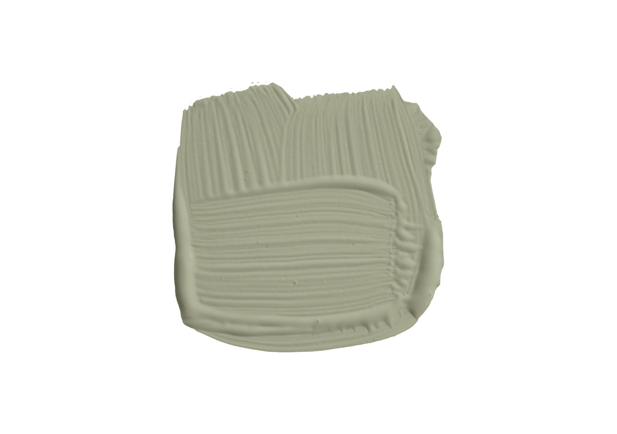 Farrow & Ball Lichen 19