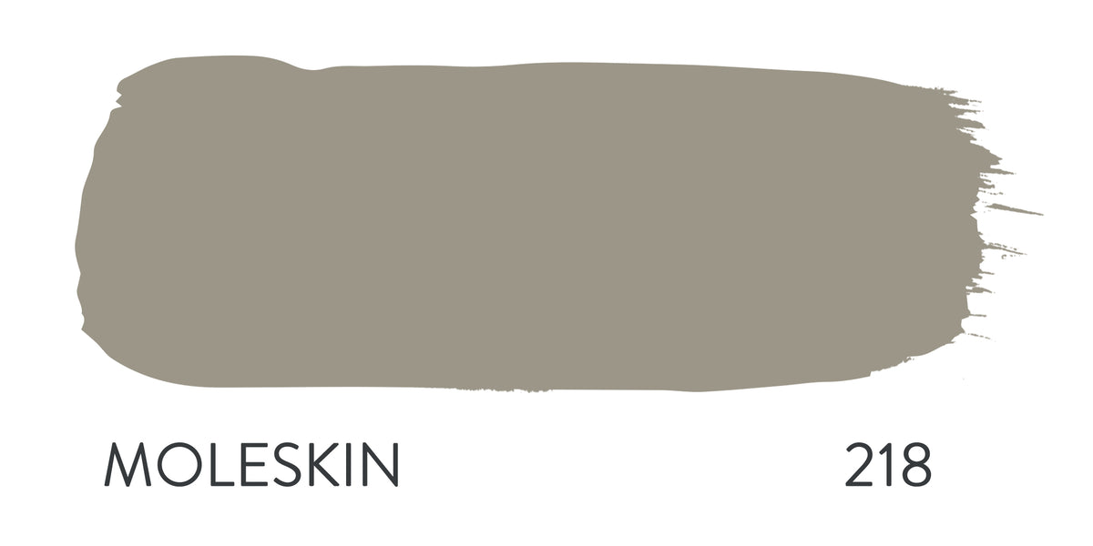 Paint & Paper Library Moleskin 218