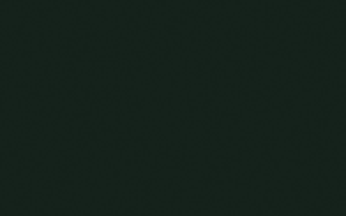 Little Greene Obsidian Green 216