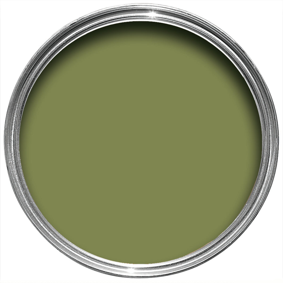 Farrow & Ball Sap Green 199