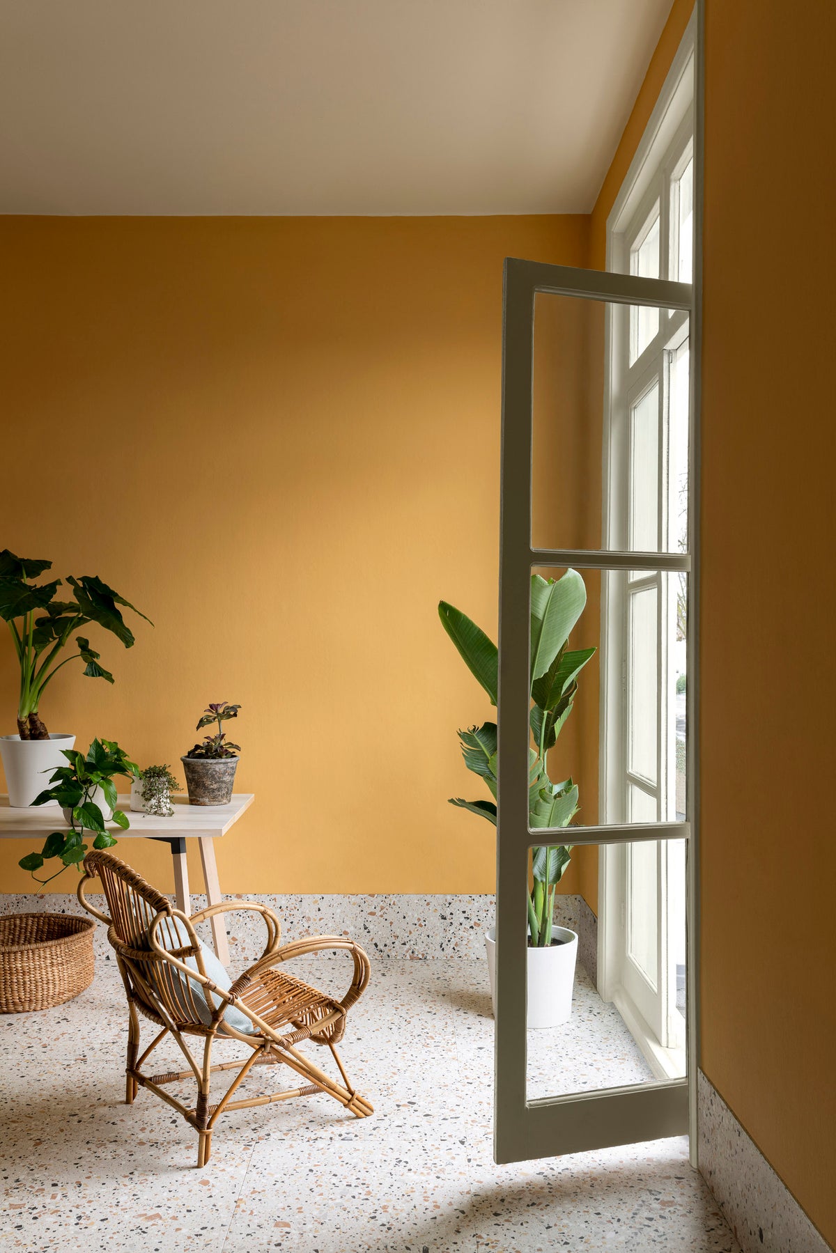 Paint & Paper Library Parasol 508