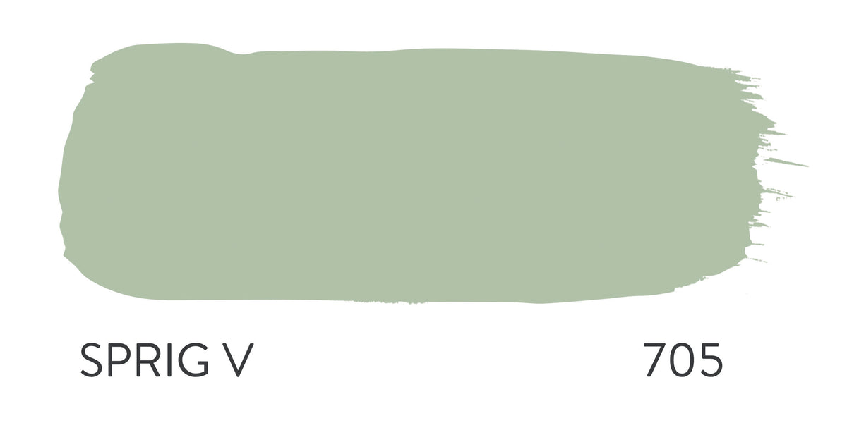Paint & Paper Library Sprig V 705