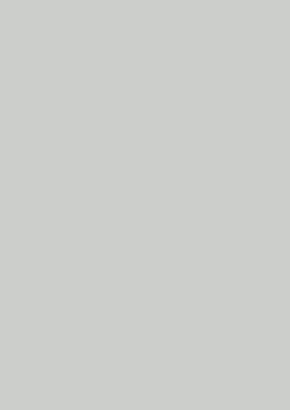 Farrow & Ball Skylight 205