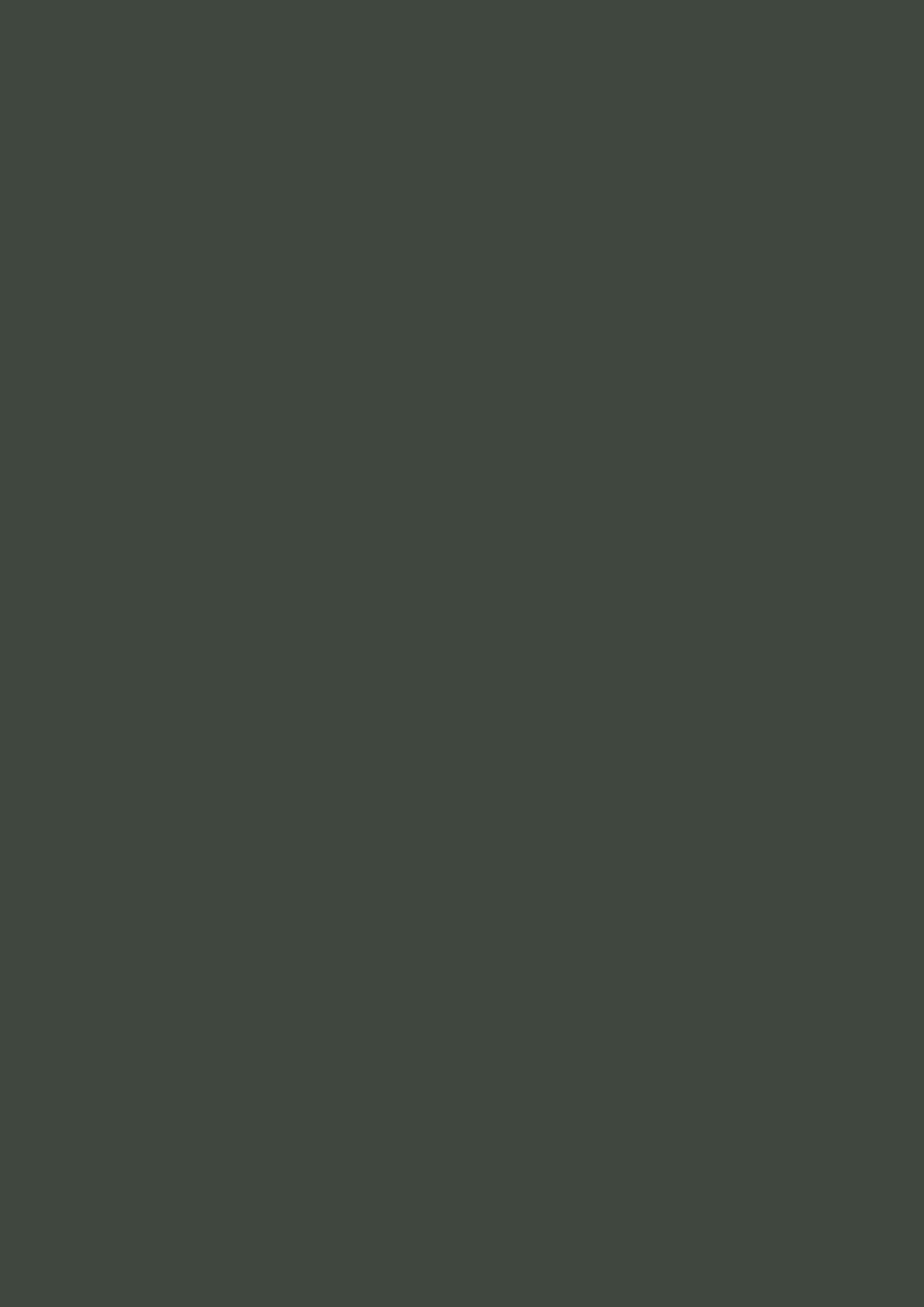 Farrow & Ball Studio Green 93