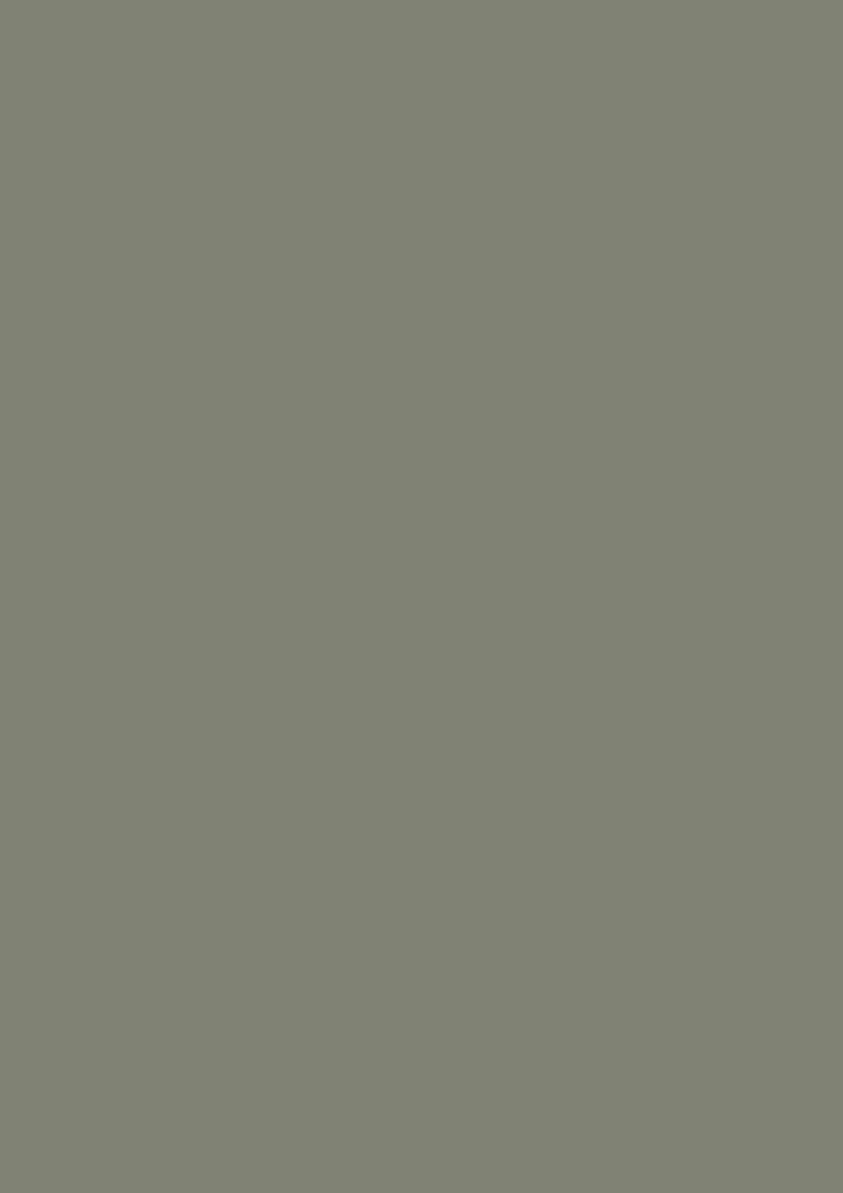 Farrow & Ball Treron 292