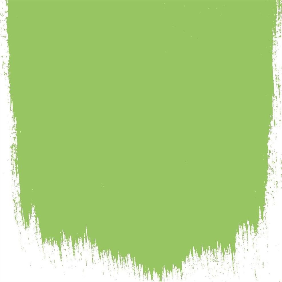 Designers Guild TG Green No.99
