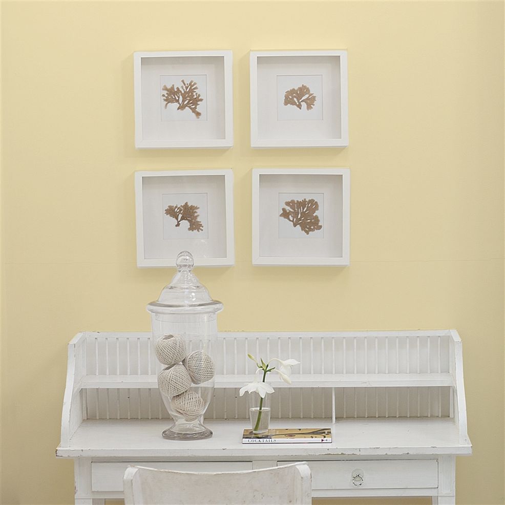 Designers Guild Custard Cream No.117
