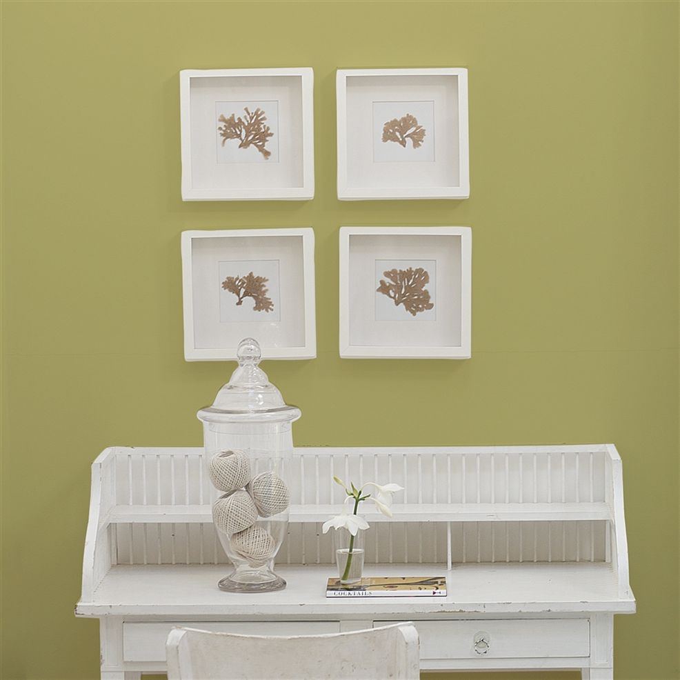 Designers Guild Fenouil No.110