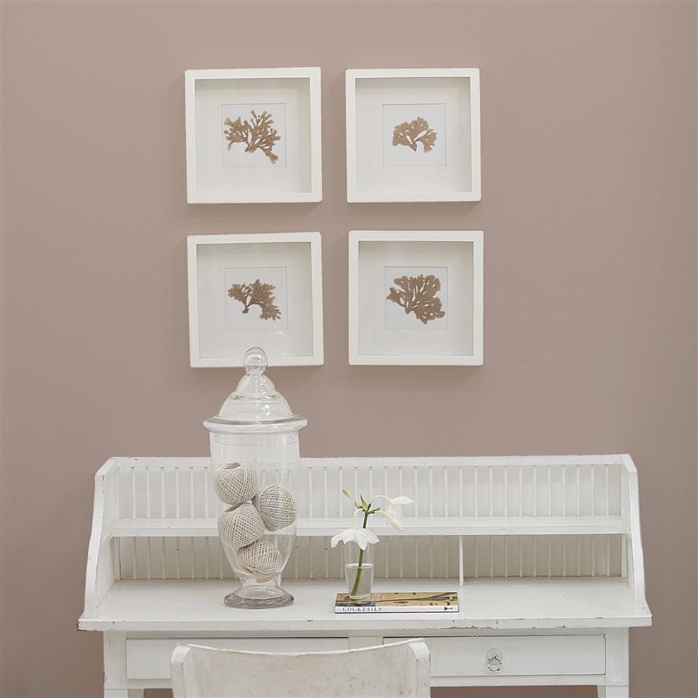 Designers Guild Pale Birch No.24