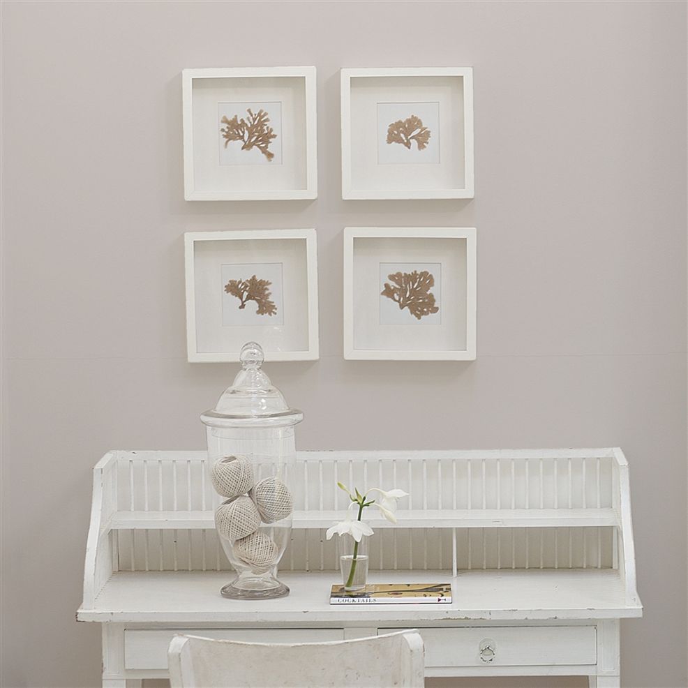 Designers Guild Poivre Blanc No.26