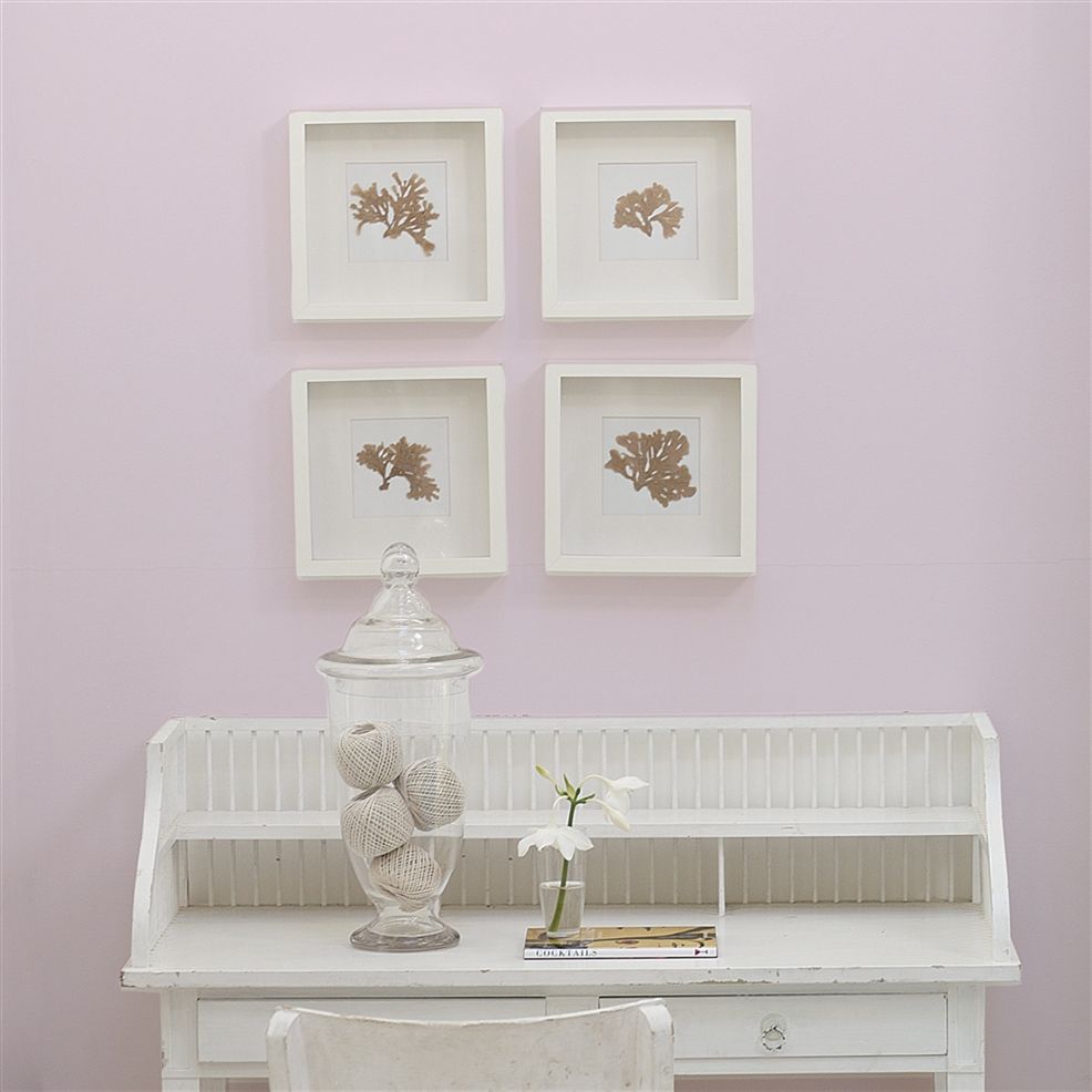 Designers Guild Pink Porcelain No.147