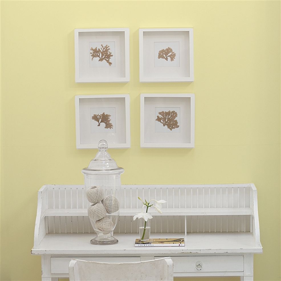 Designers Guild Primrose No.118