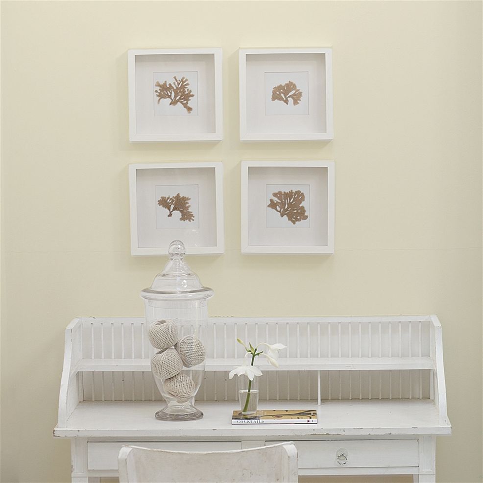 Designers Guild Soft Angelica No.105